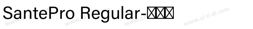 SantePro Regular字体转换